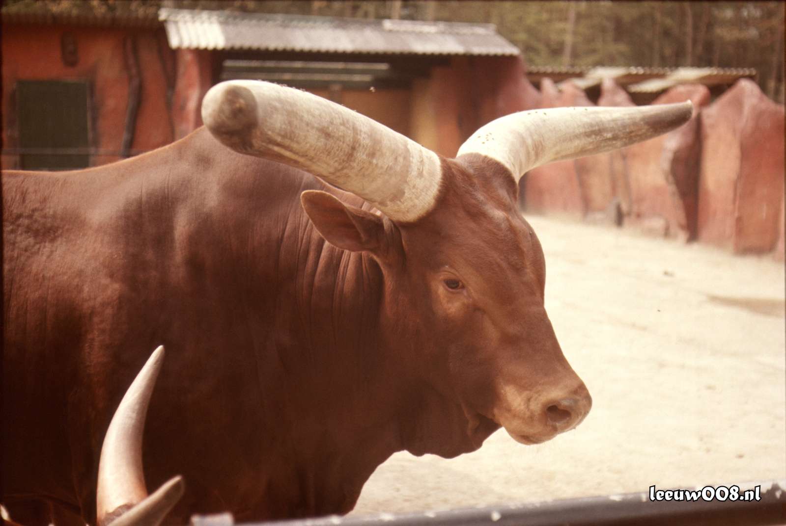 1977 - DD01-2_77-78-25