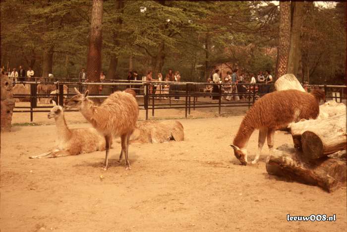 1977 - DD01-2_77-78-27