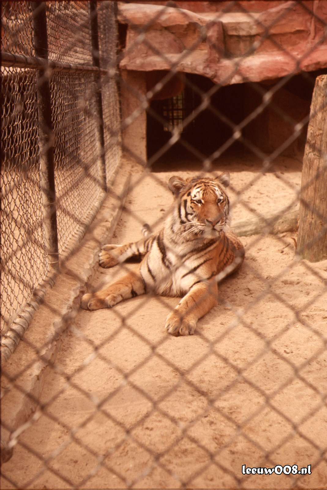 1977 - DD01-2_77-78-28