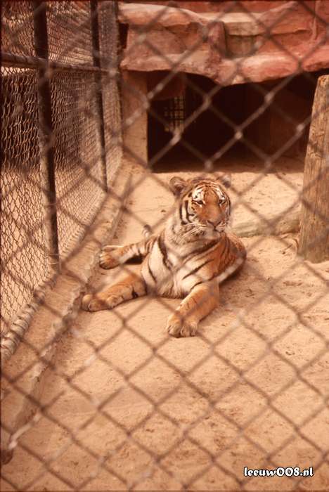 1977 - DD01-2_77-78-28