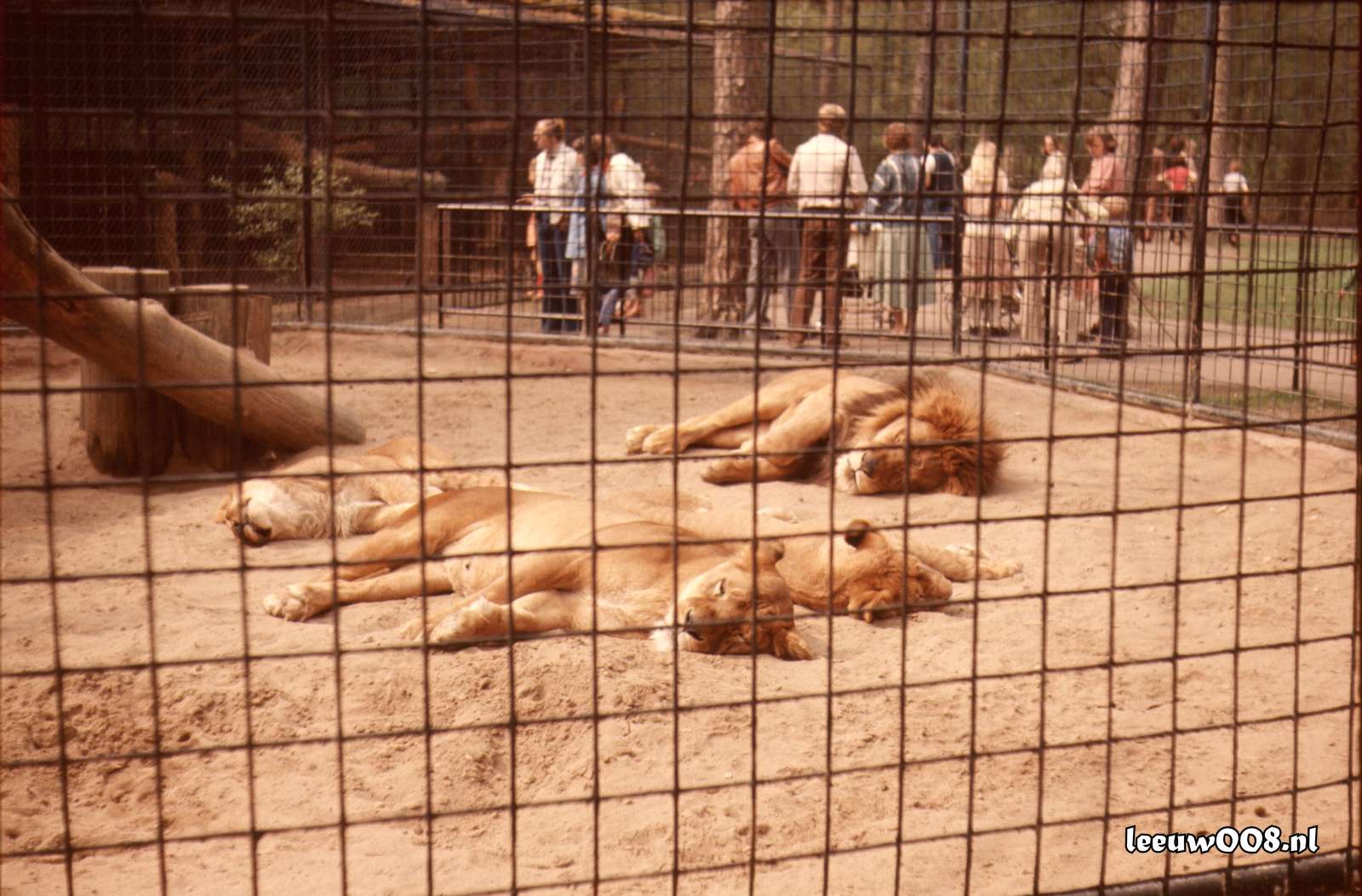 1977 - DD01-2_77-78-29