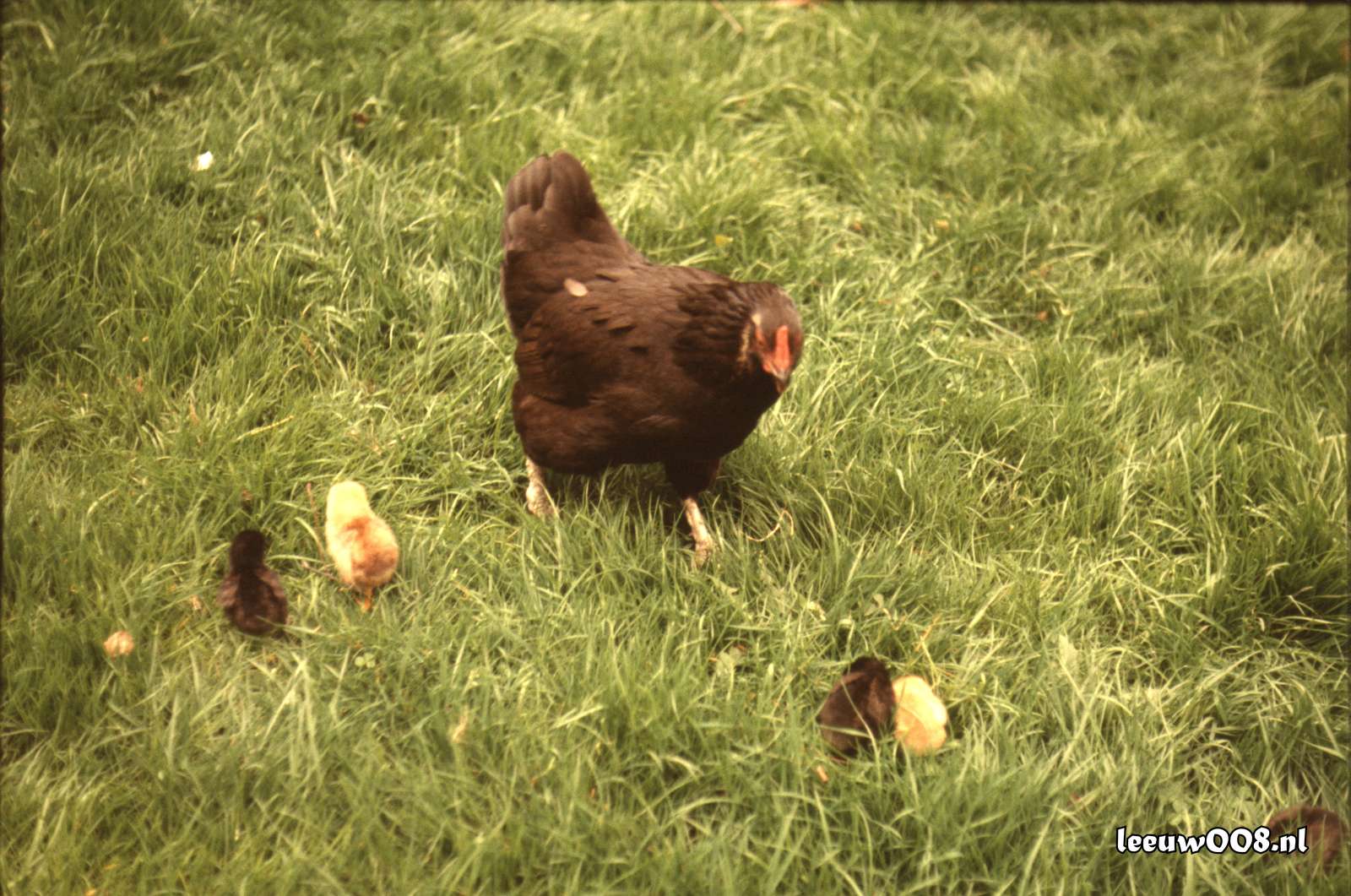 1977 - DD01-2_77-78-32