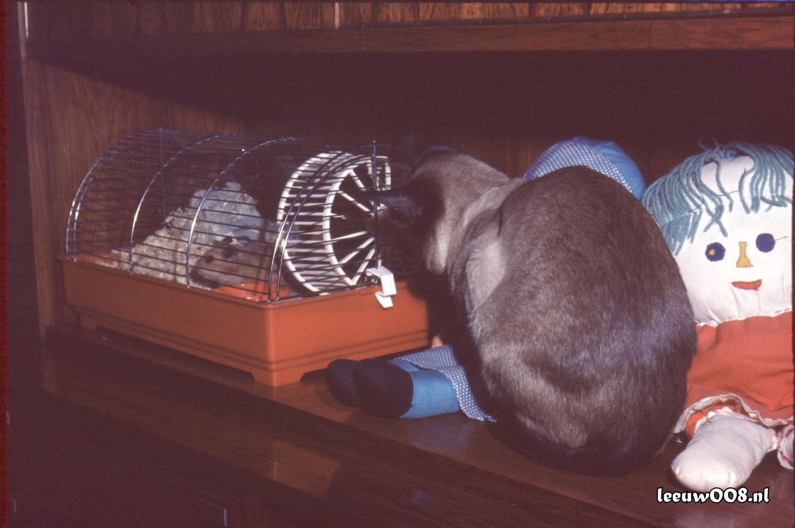 1977 - DD01-2_77-78-46