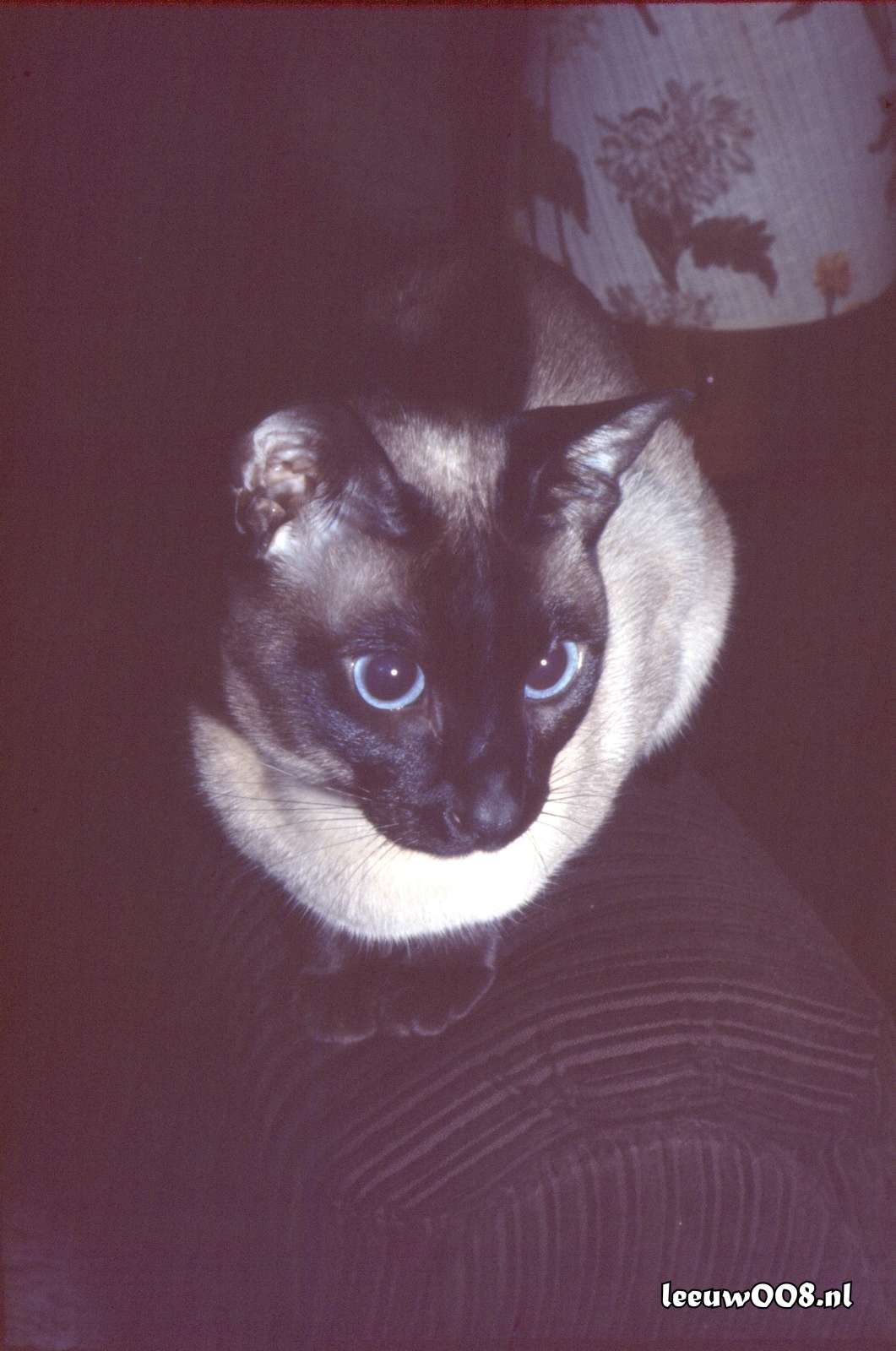 1977 - DD01-2_77-78-47