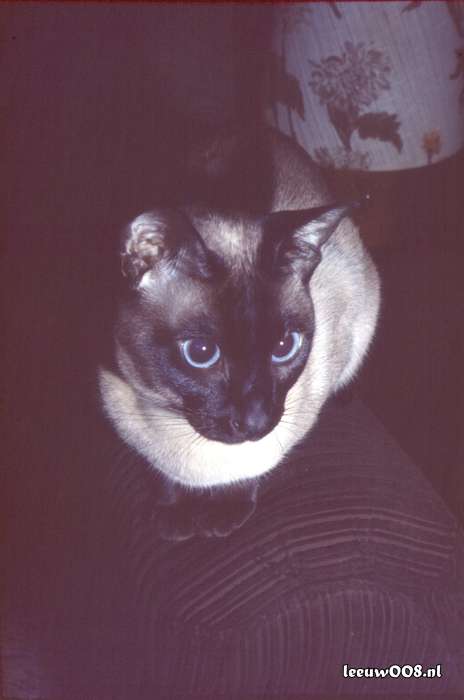 1977 - DD01-2_77-78-47