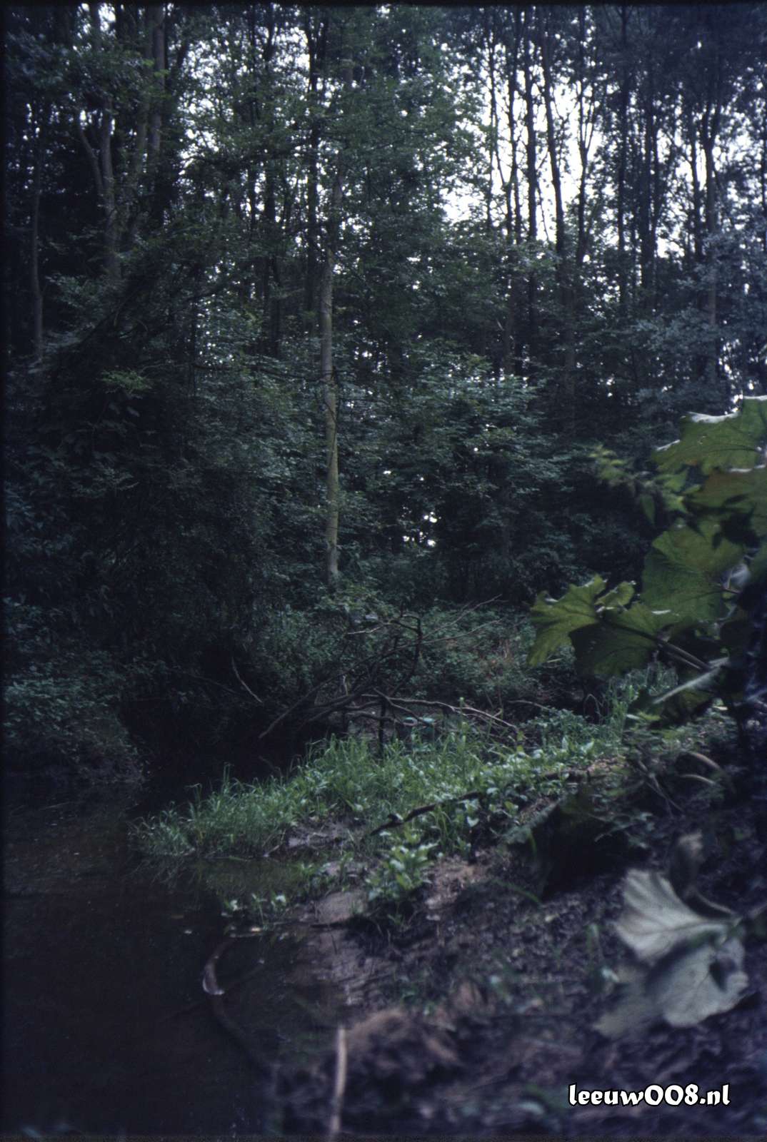 1980 - DD08-2_80-81-09