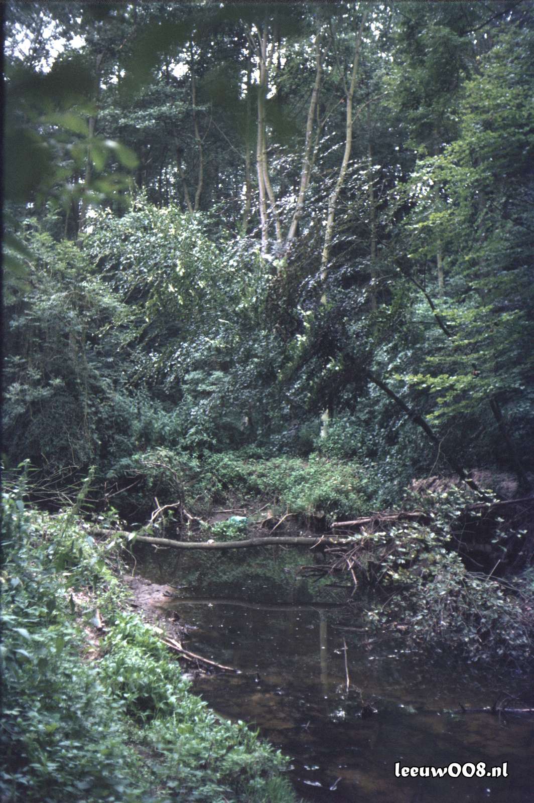 1980 - DD08-2_80-81-10