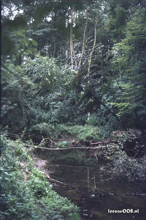 1980 - DD08-2_80-81-10