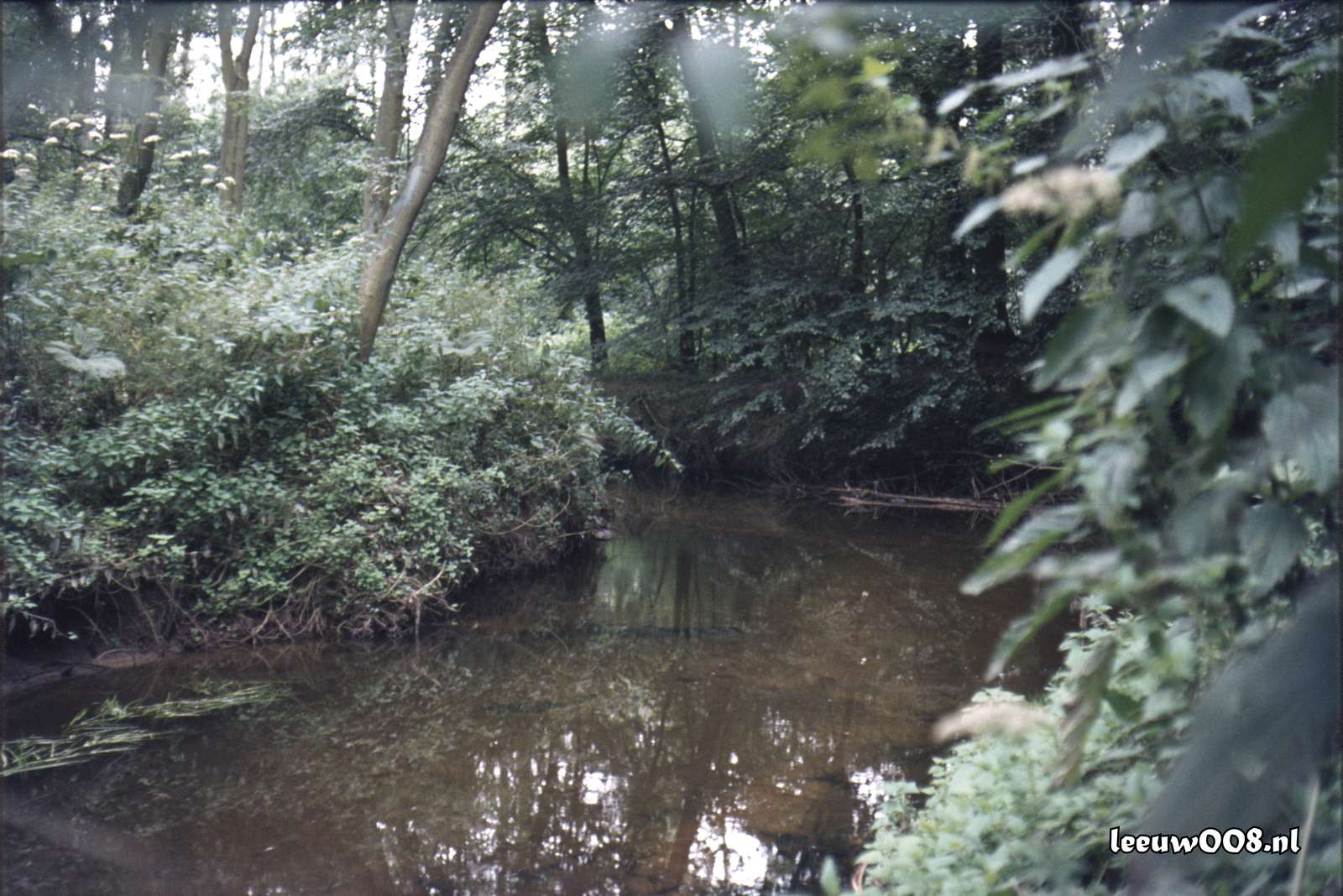 1980 - DD08-2_80-81-11