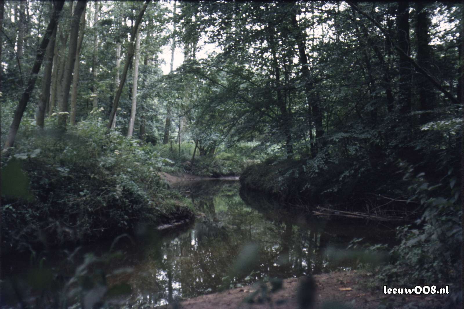 1980 - DD08-2_80-81-12