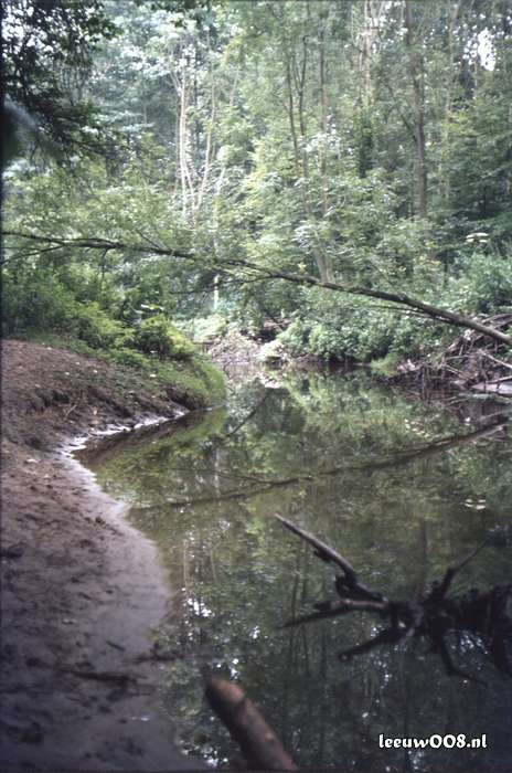 1980 - DD08-2_80-81-13