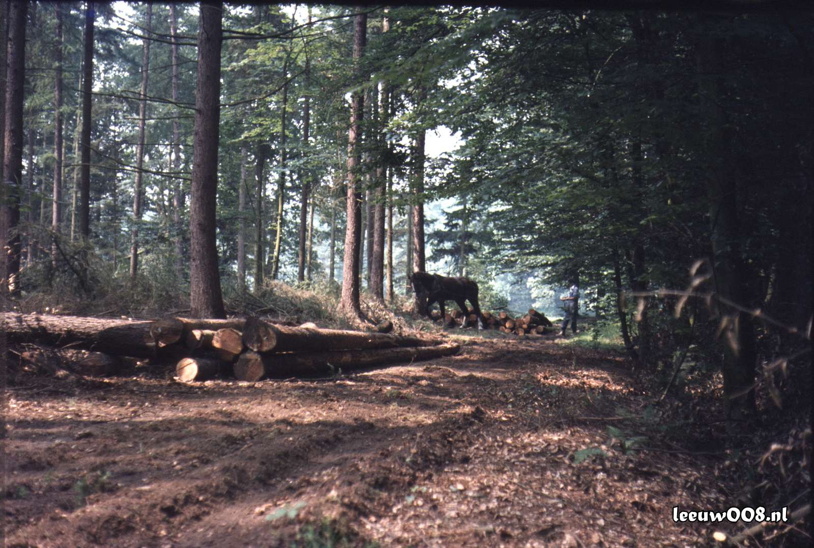 1980 - DD08-2_80-81-17