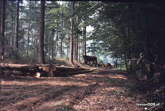 1980 - DD08-2_80-81-17