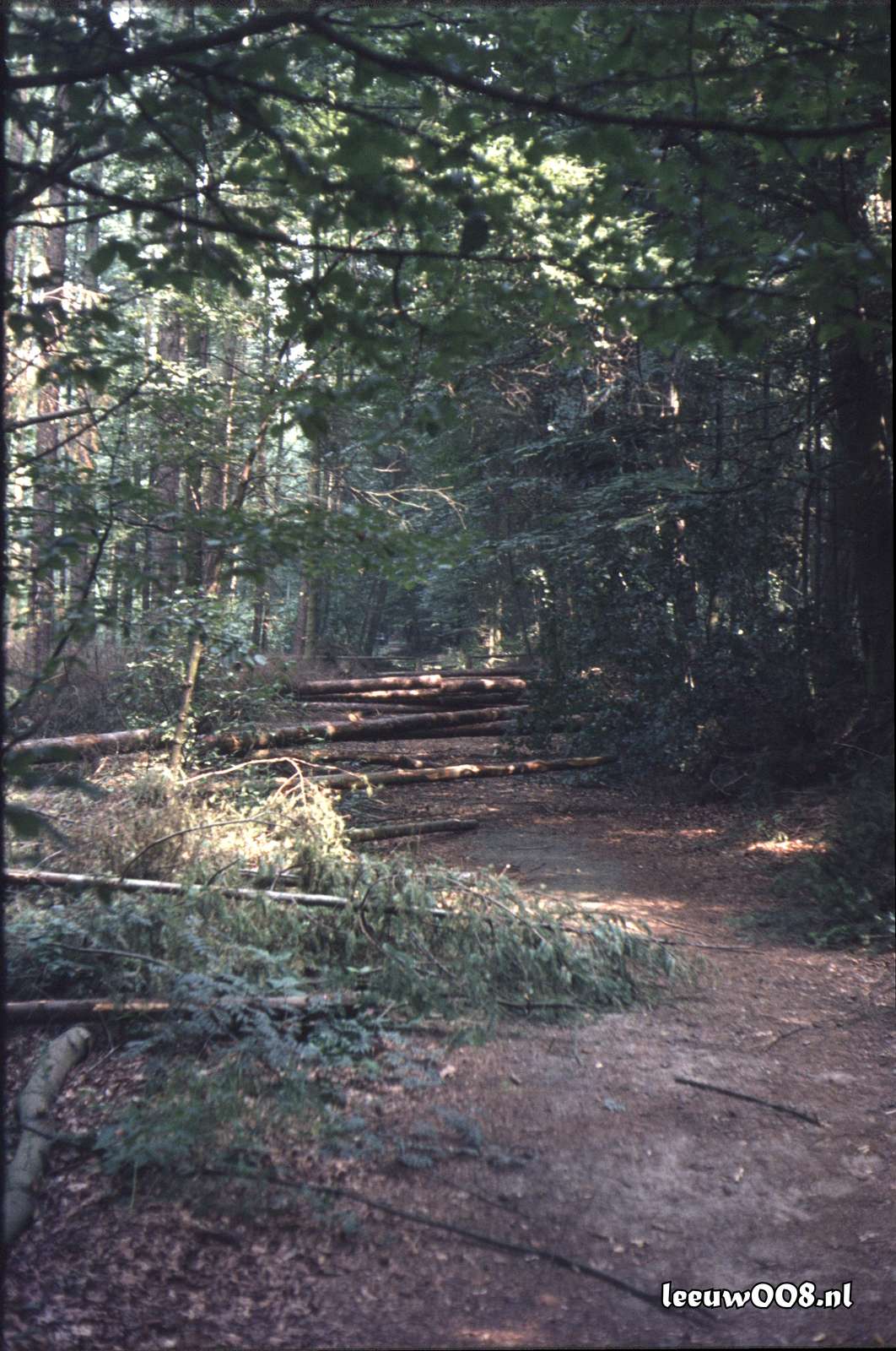 1980 - DD08-2_80-81-18