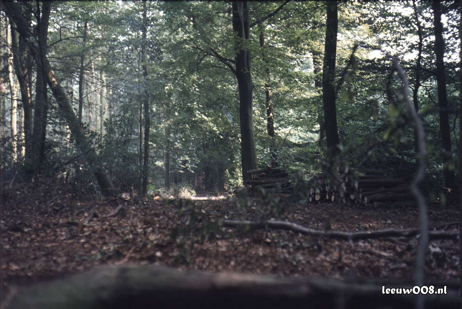 1980 - DD08-2_80-81-19