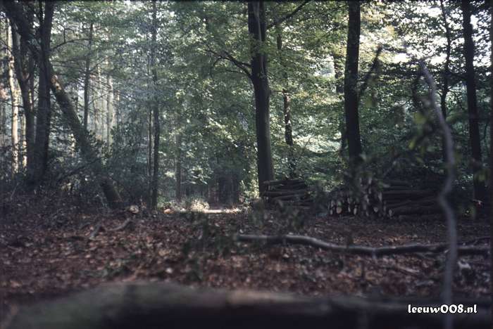 1980 - DD08-2_80-81-19