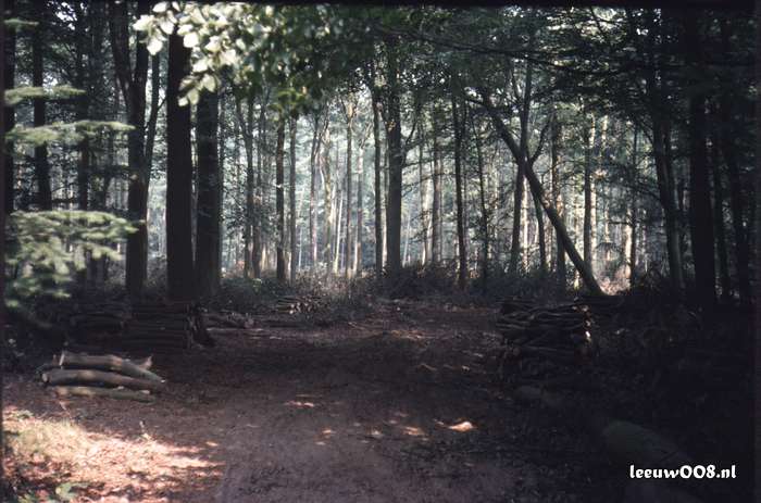 1980 - DD08-2_80-81-20