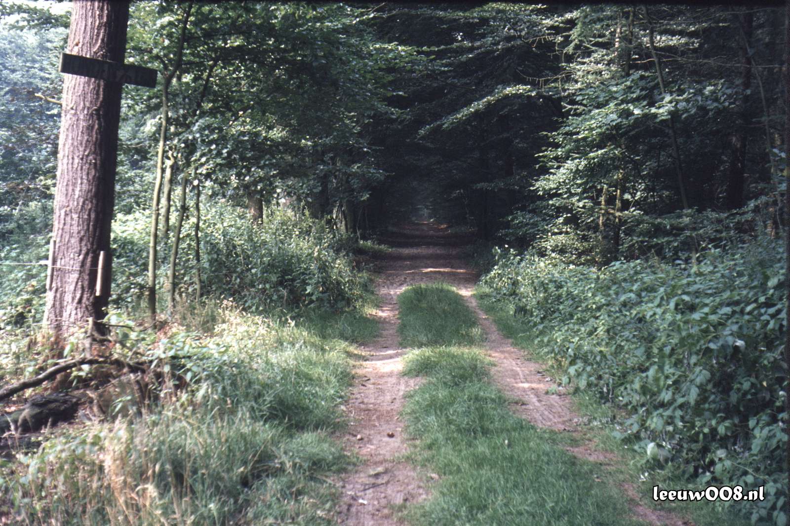 1980 - DD08-2_80-81-21