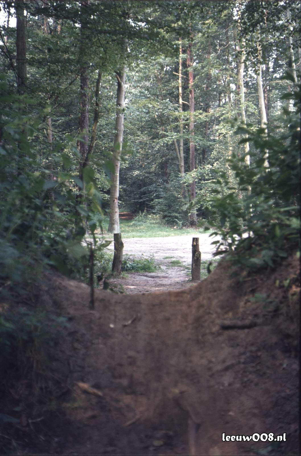 1980 - DD08-2_80-81-23