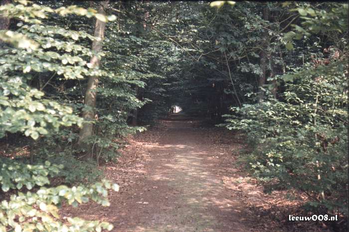 1980 - DD08-2_80-81-24