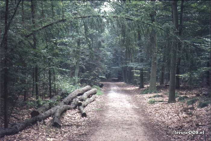 1980 - DD08-2_80-81-25