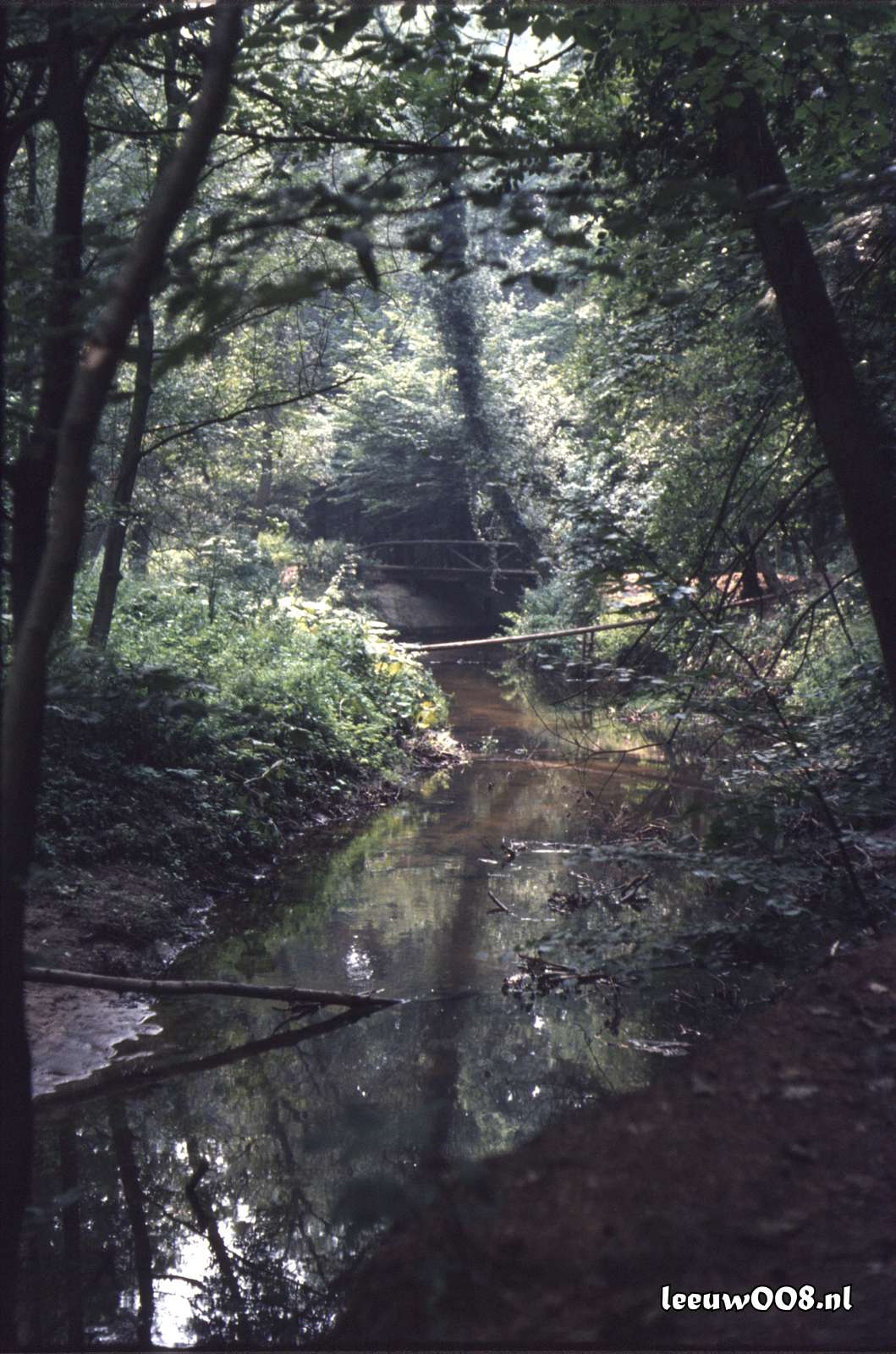 1980 - DD08-2_80-81-27