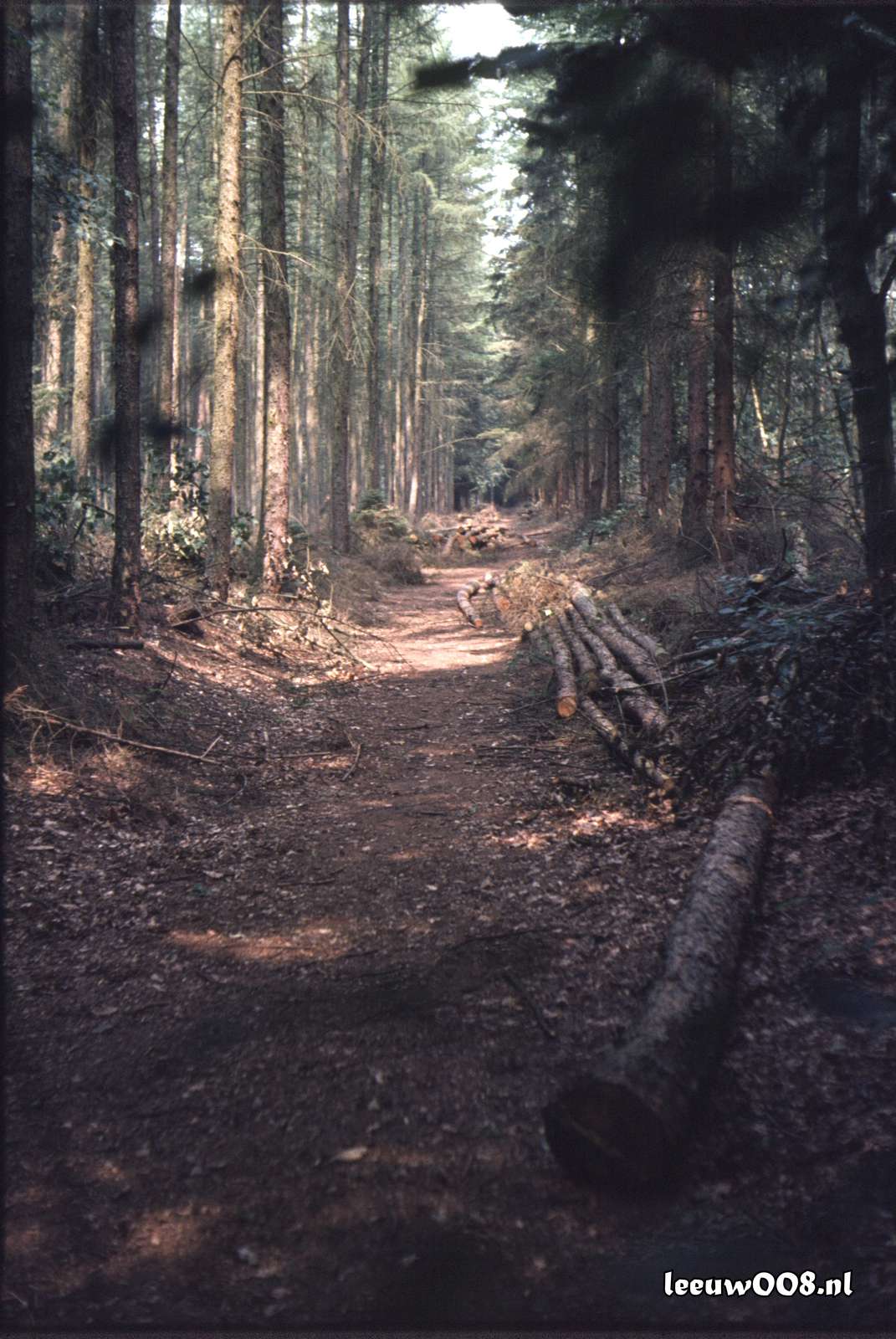 1980 - DD08-2_80-81-28