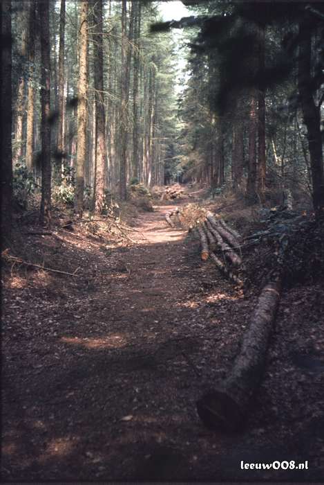 1980 - DD08-2_80-81-28