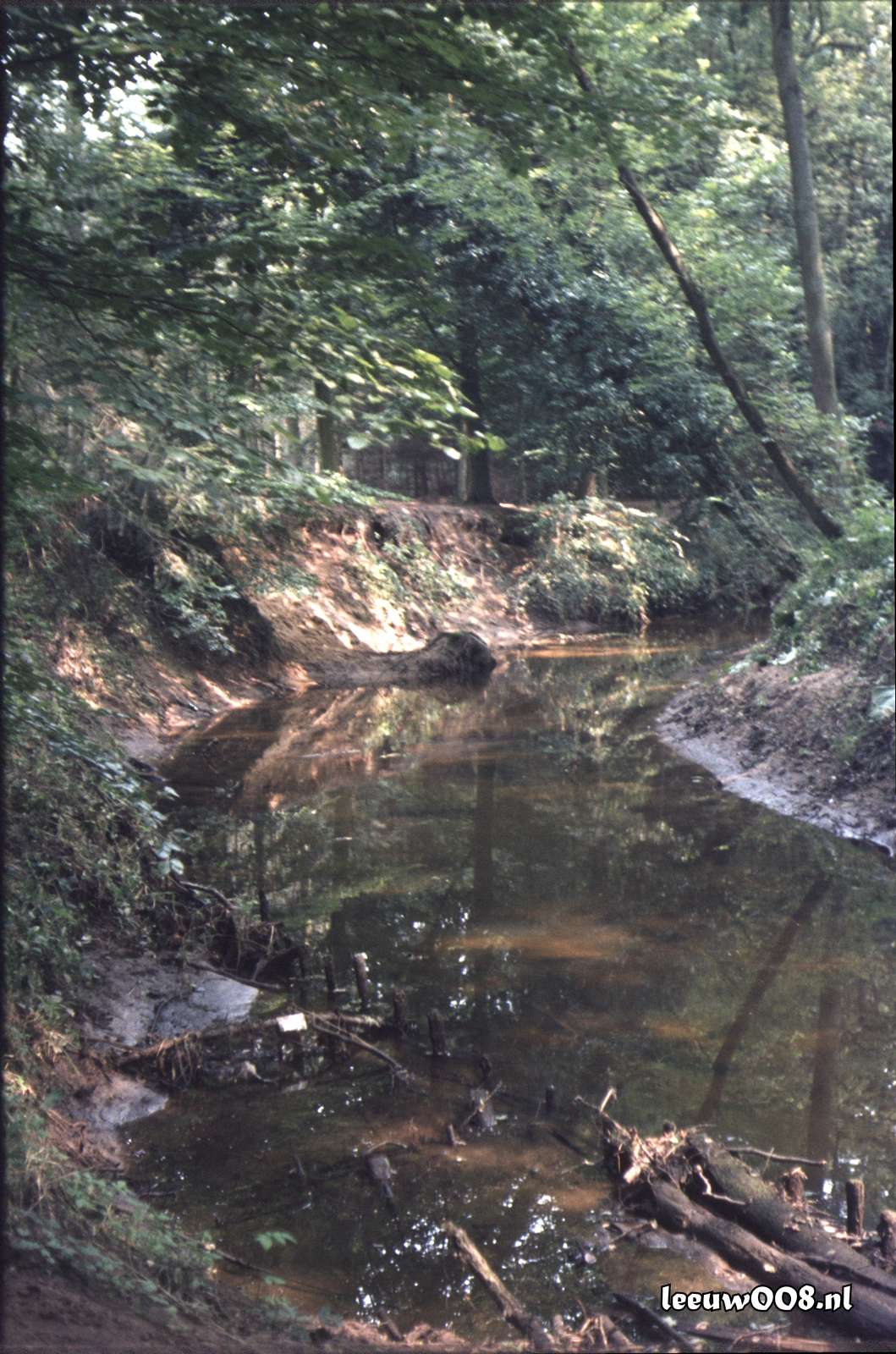 1980 - DD08-2_80-81-29