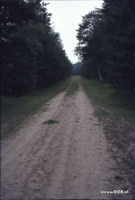 1980 - DD08-2_80-81-34