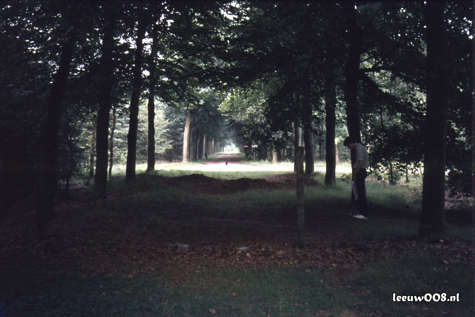 1980 - DD08-2_80-81-36