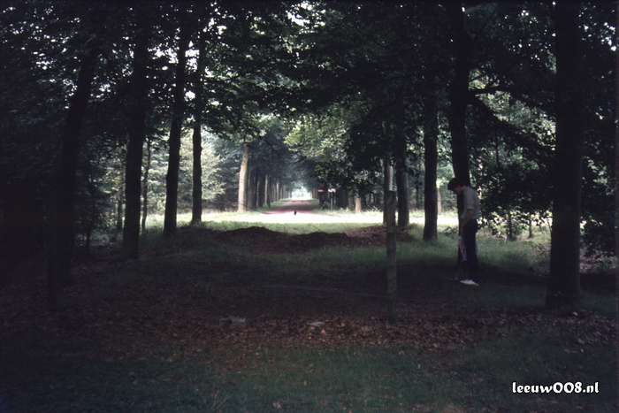 1980 - DD08-2_80-81-36