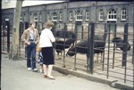 1980 - DiaDoos07-2_80-10