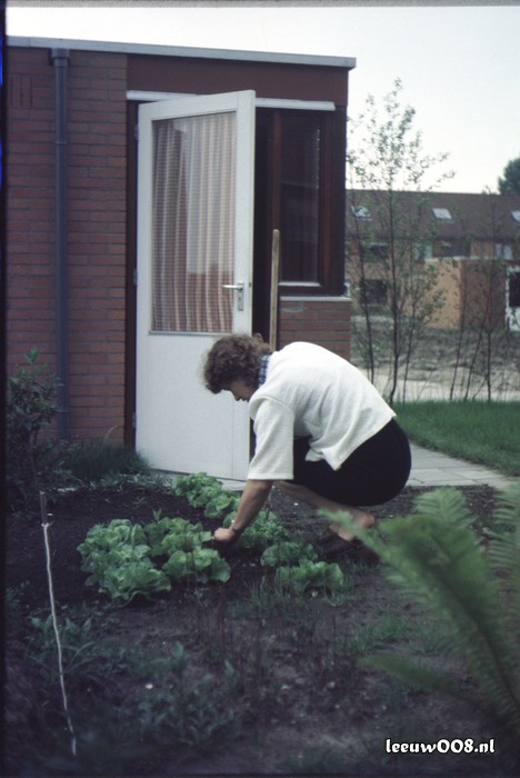 1980 - DiaDoos07-2_80-30